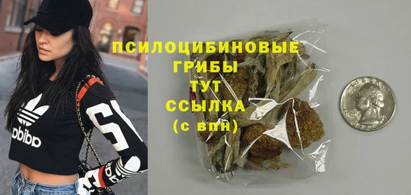 мдпв Покачи