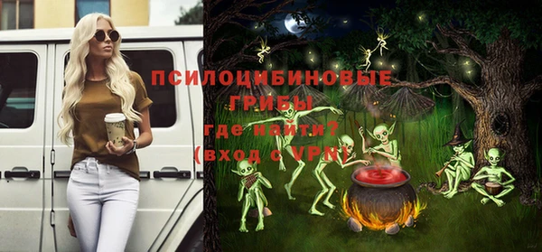 молекула духа Покровск