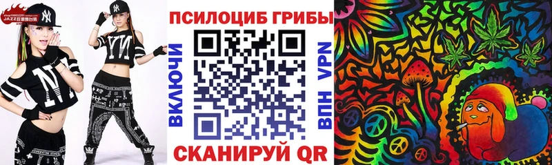 Галлюциногенные грибы MAGIC MUSHROOMS  Купить  Новотитаровская 