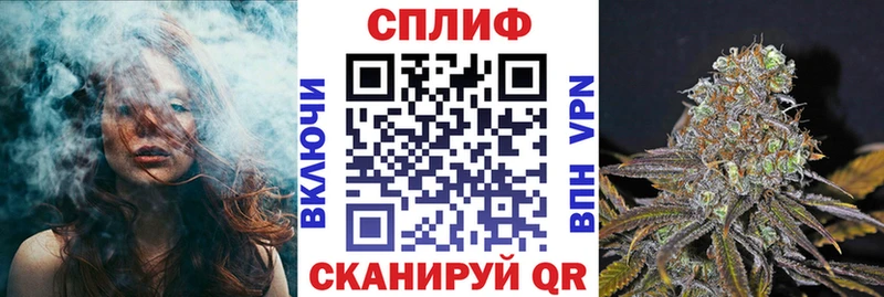 Купить где  Новотитаровская  Конопля ГИДРОПОН 